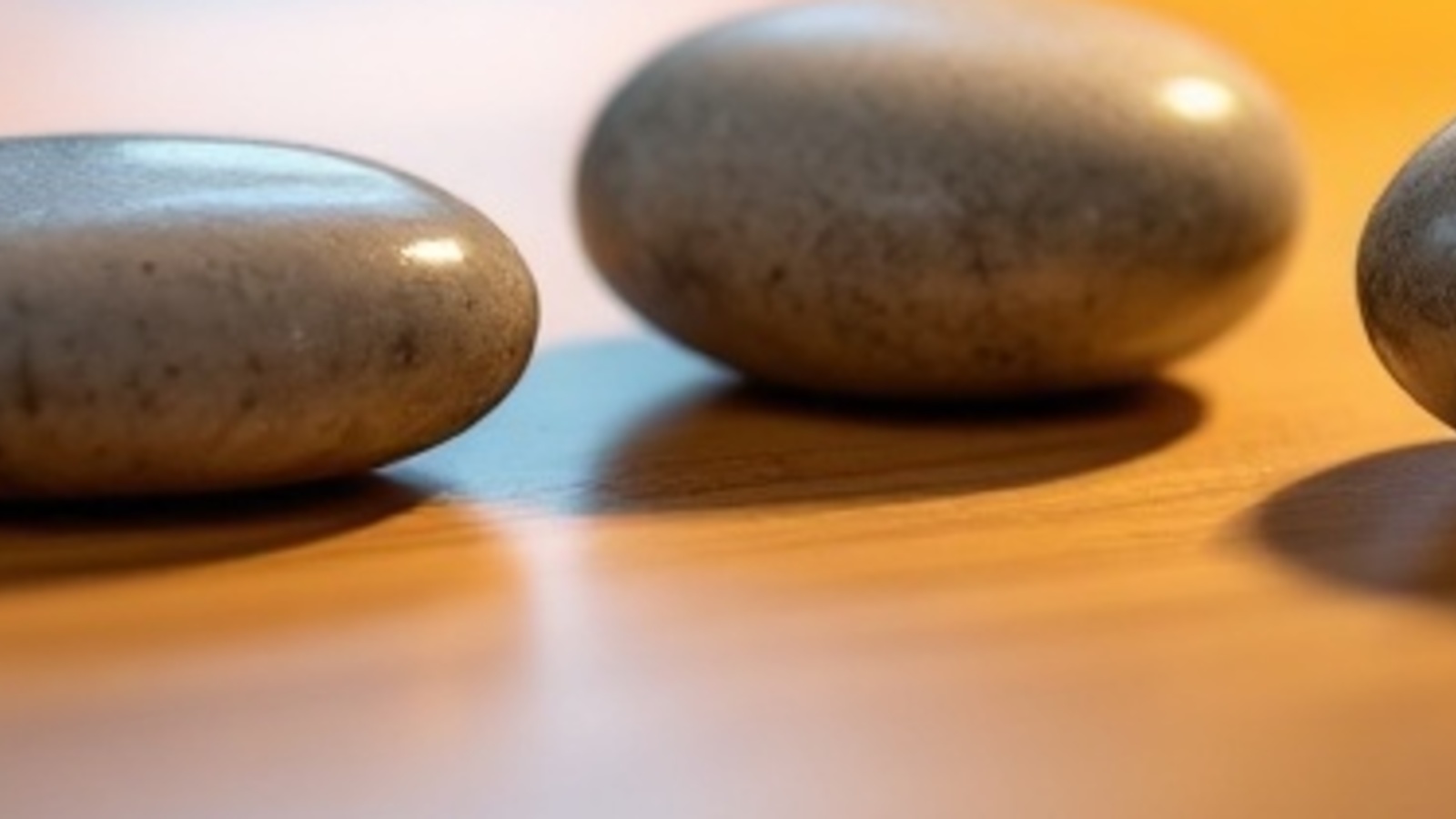 Smooth river stones and a small green succulent on a warm wooden tabletop in soft natural window light, law office setting