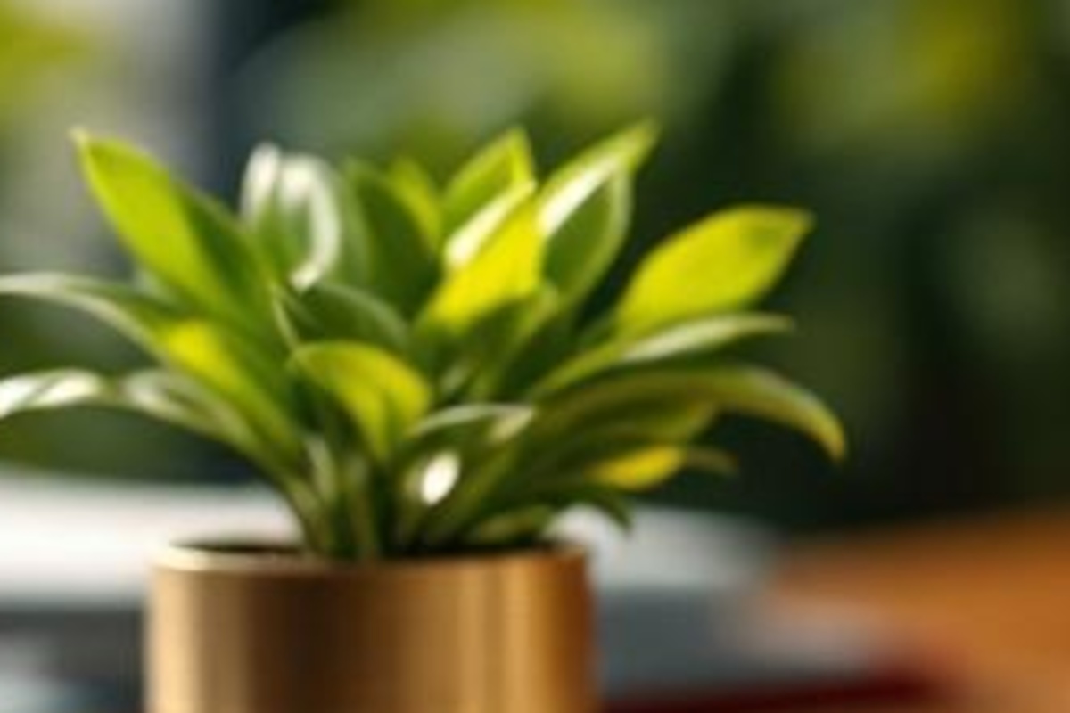 Professional law office desk detail with a ceramic cup, small plant, and brass pen used as a calm intake workflow metaphor.